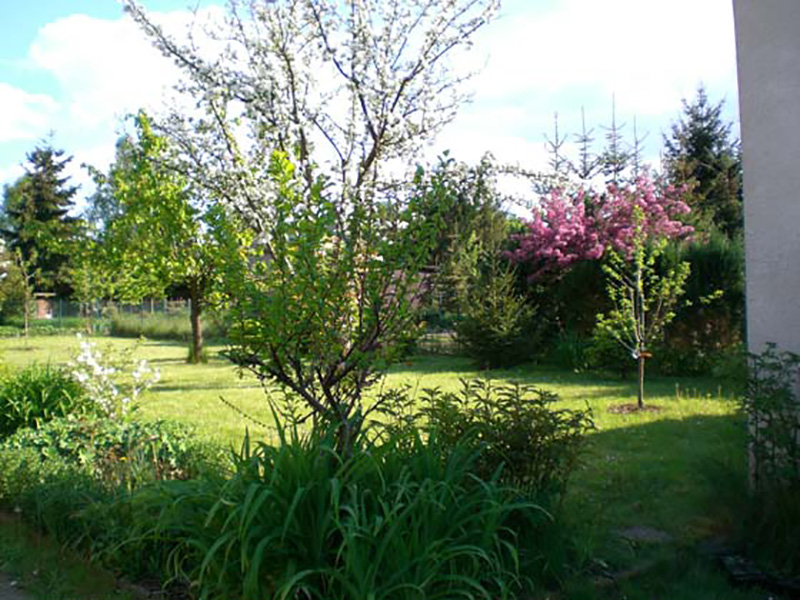 Ferienhaus Putlitz - Blick in den Garten