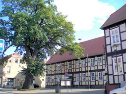 Putlitz in der Prignitz - der Rathausplatz Putlitz in der Prignitz - der Rathausplatz