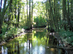 Putlitz in der Prignitz - die Stepenitz Putlitz in der Prignitz - die Stepenitz